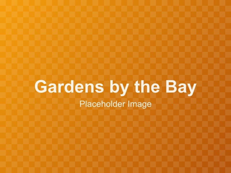 Gardens by the Bay: Supertrees, Domes & Evening Light Show