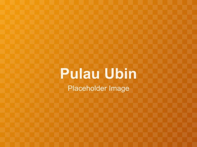 Island Escape: A Day Trip Guide to Pulau Ubin