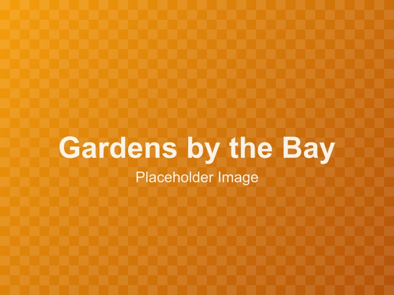 Gardens by the Bay: Supertrees, Domes & Evening Light Show
