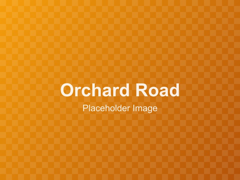 Orchard Road Odyssey: From Luxury Brands to Local Boutiques