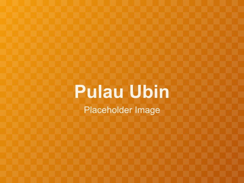 Island Escape: A Day Trip Guide to Pulau Ubin